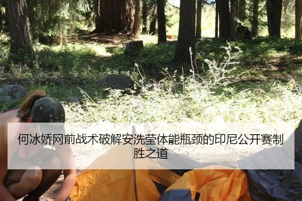 he-bing-jiao-wang-qian-zhan-shu-po-jie-an-xi-ying-ti-neng-ping-jing-de-yin-ni-gong-kai-sai-zhi-sheng-zhi-dao-3-609.jpg