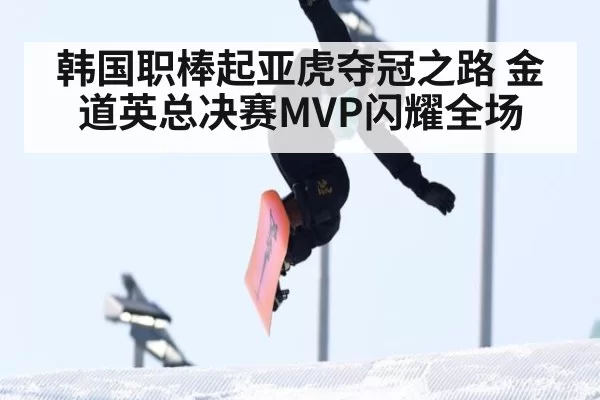 韩国职棒起亚虎夺冠之路 金道英总决赛MVP闪耀全场